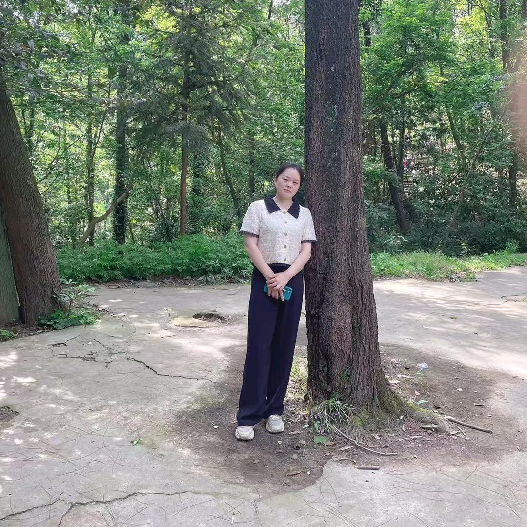 琴