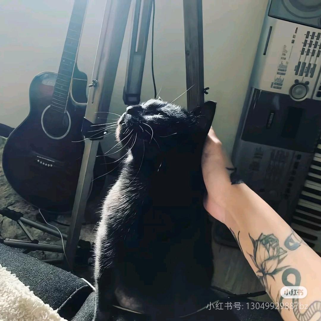 晴天纹身小文