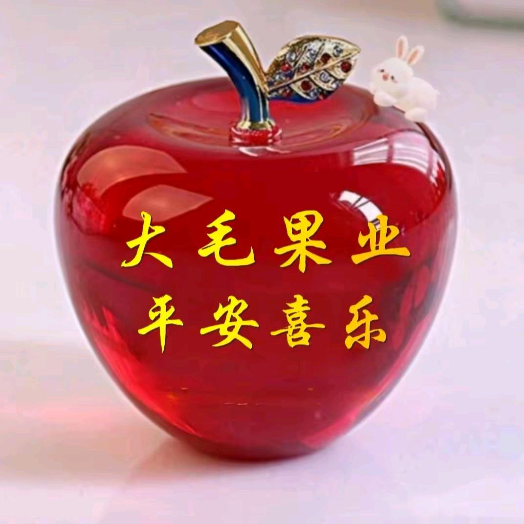 脚踏实地，仰望星空