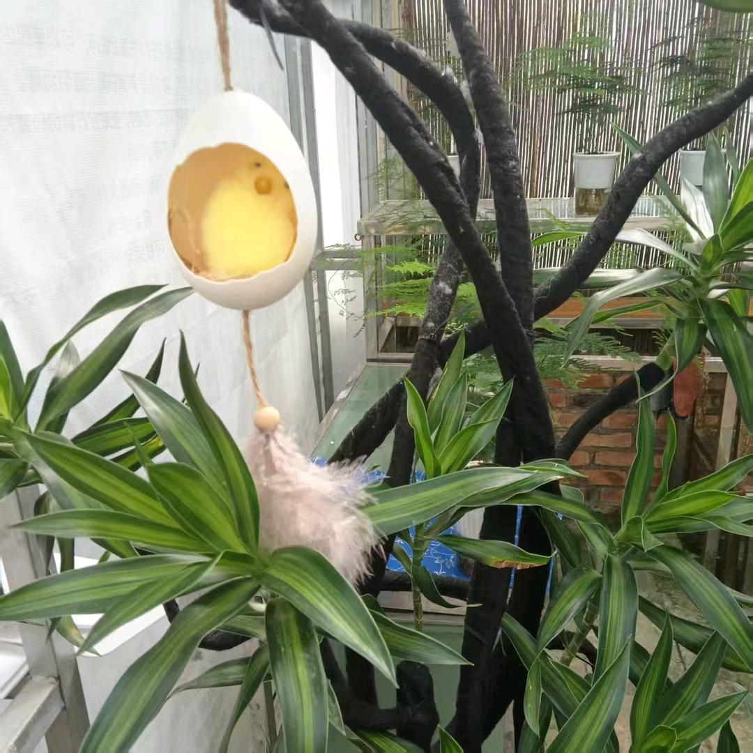人生如梦