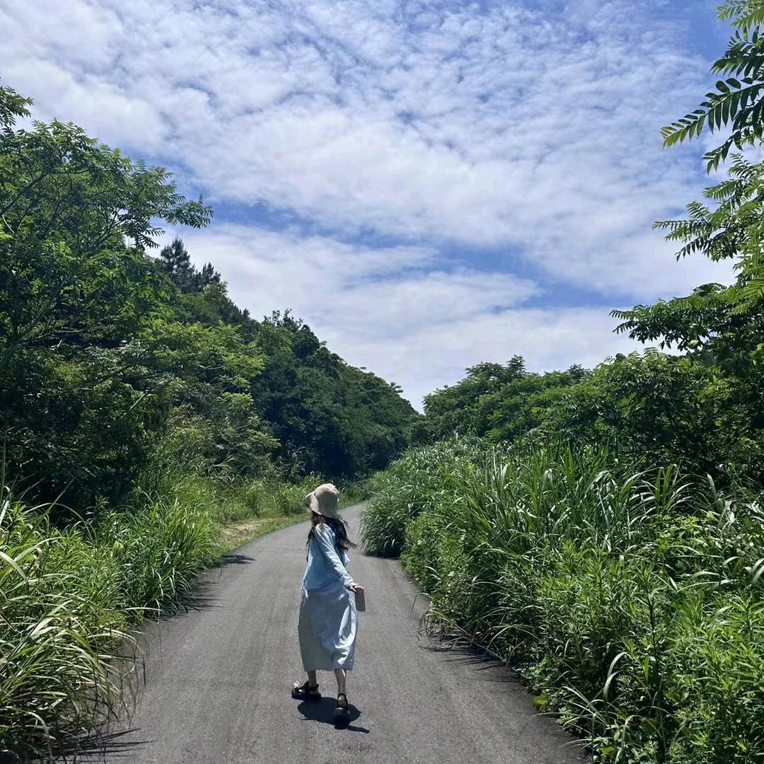 汪小汪