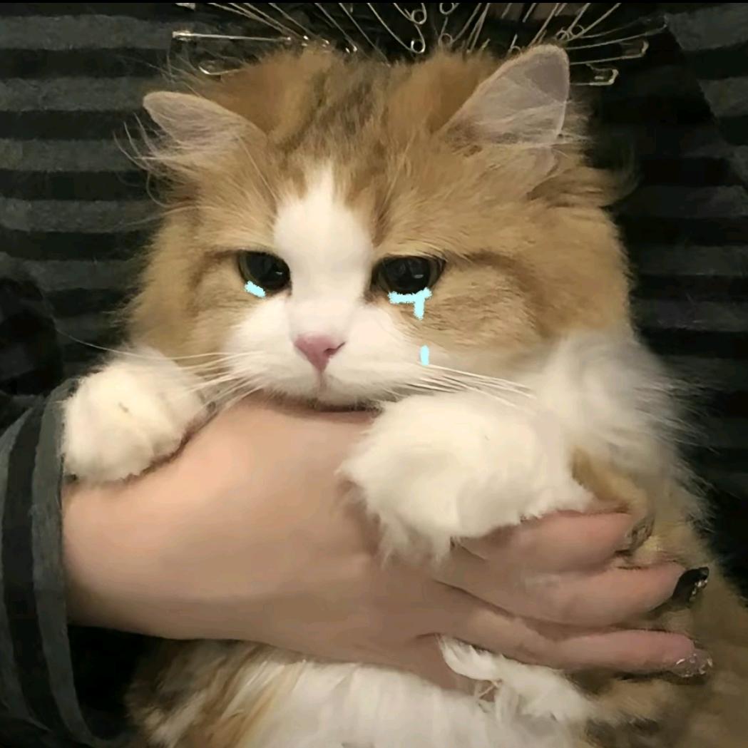 瞬间