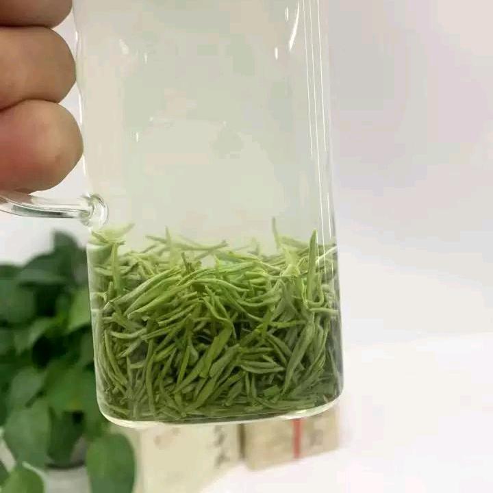 你名字鱼