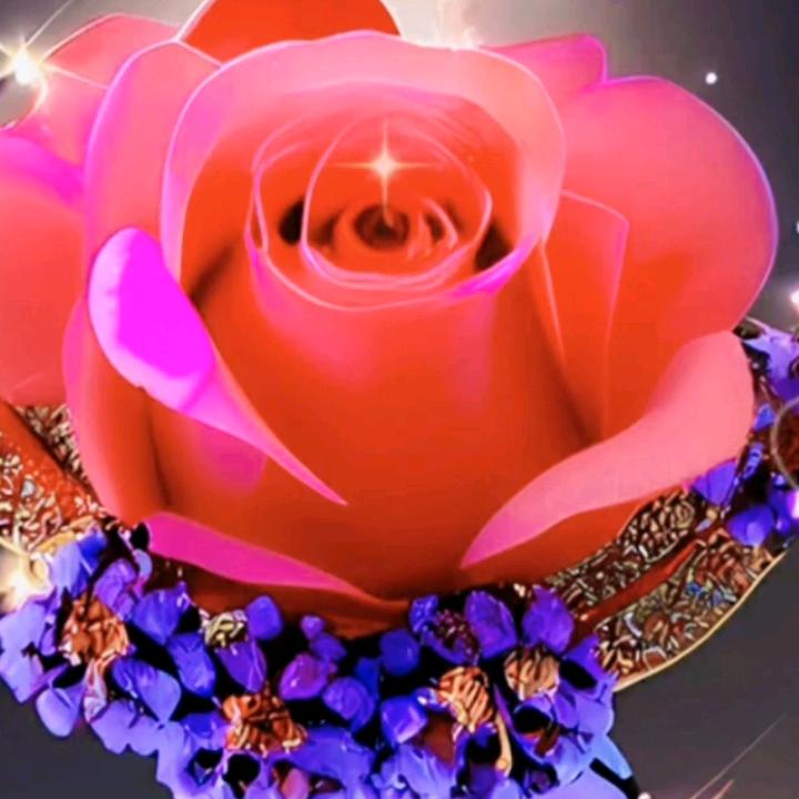 🌺zulpeya 🌺415