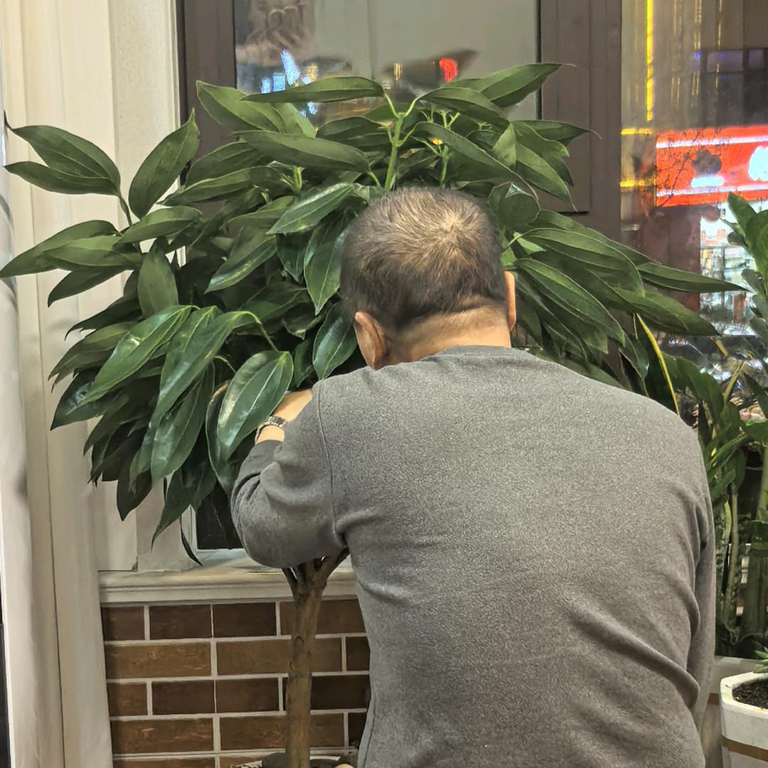 恩赐养心（平安常在）