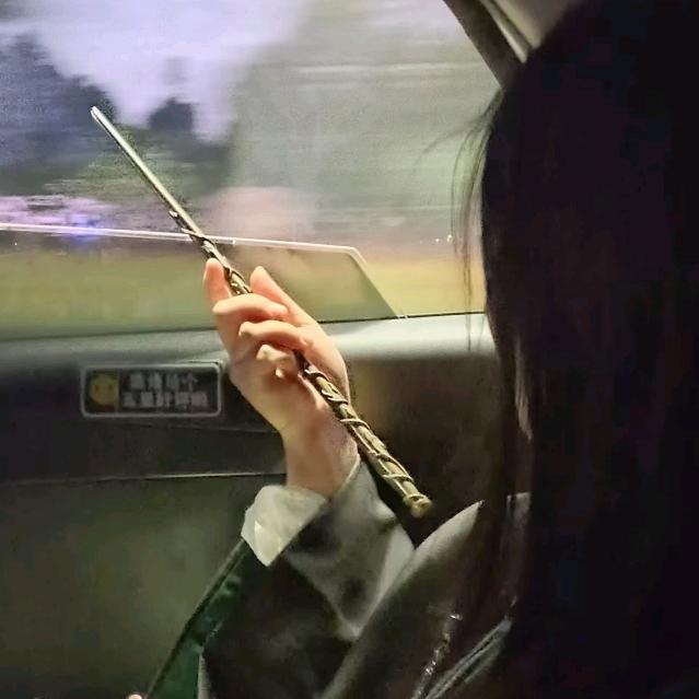 昭昭.