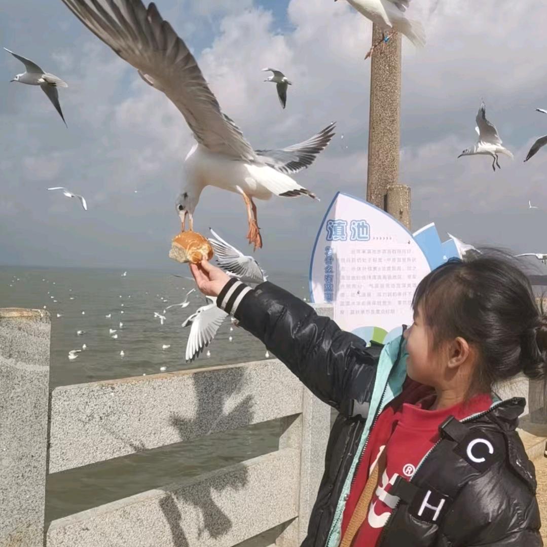 呀！