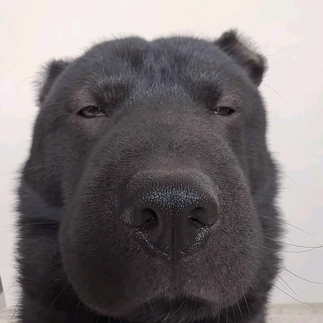 小陆又菜又爱玩😄