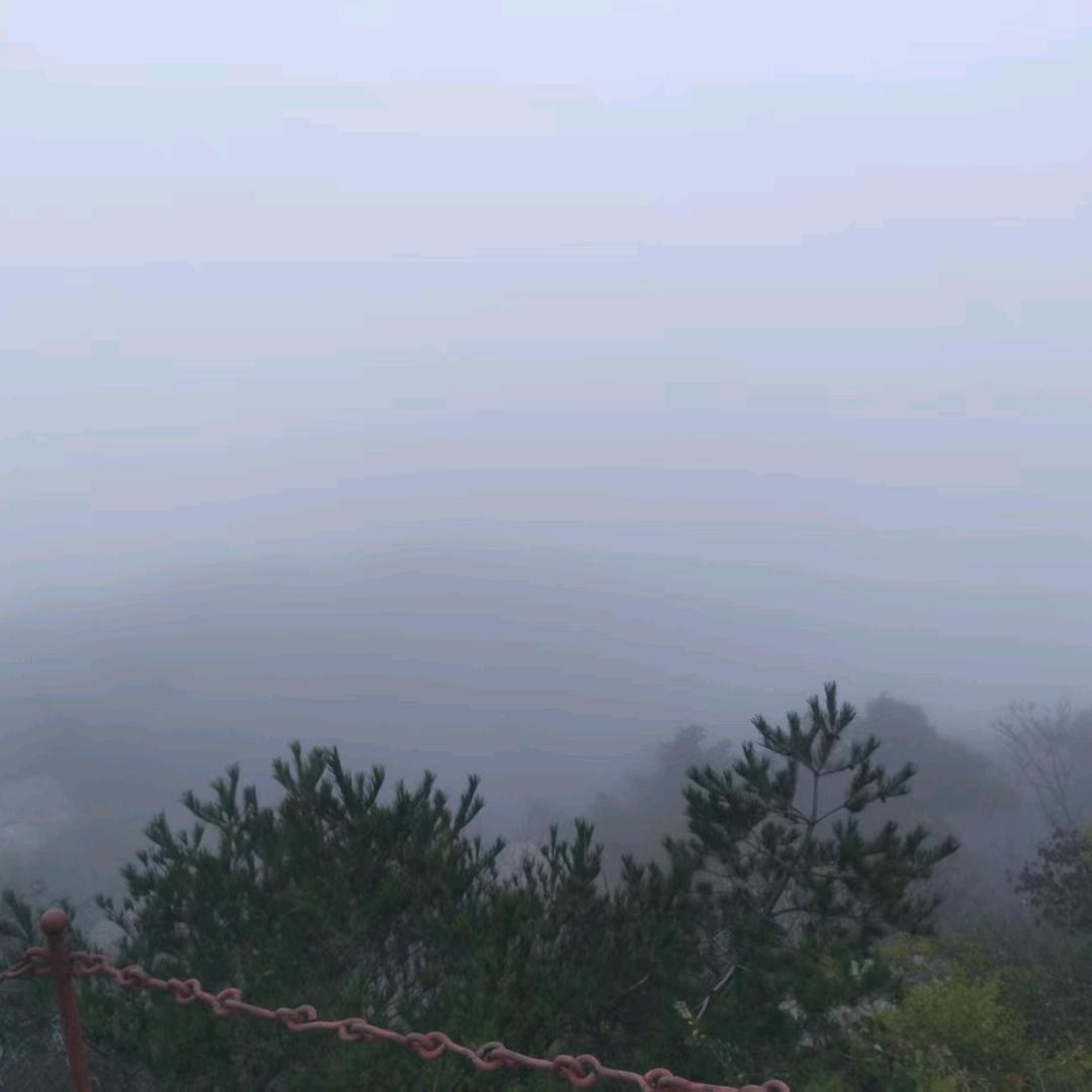 美子
