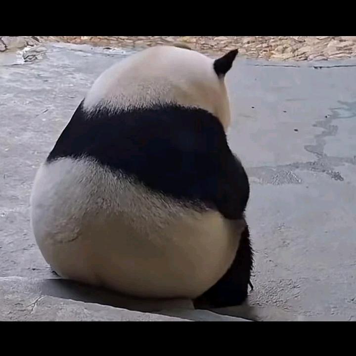 㐱