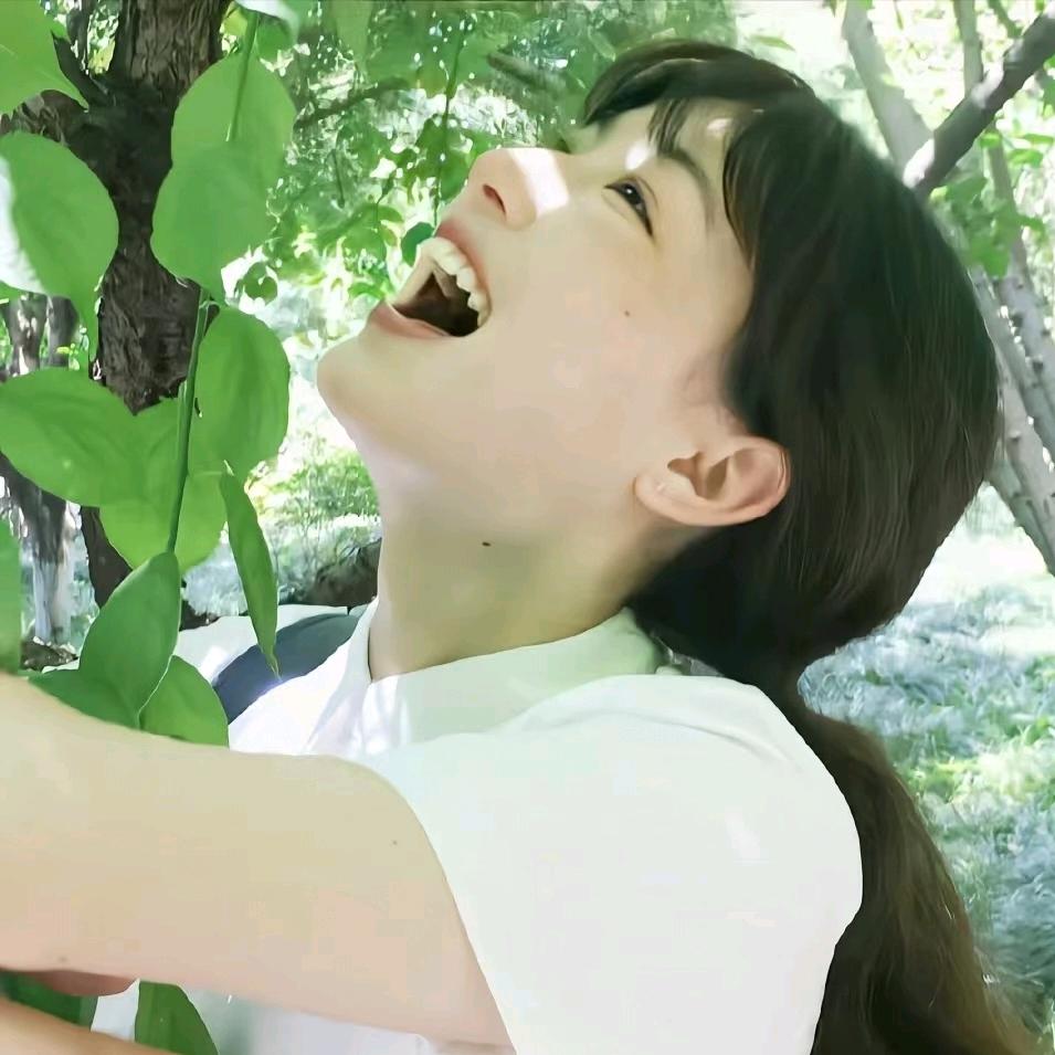 喂喂y