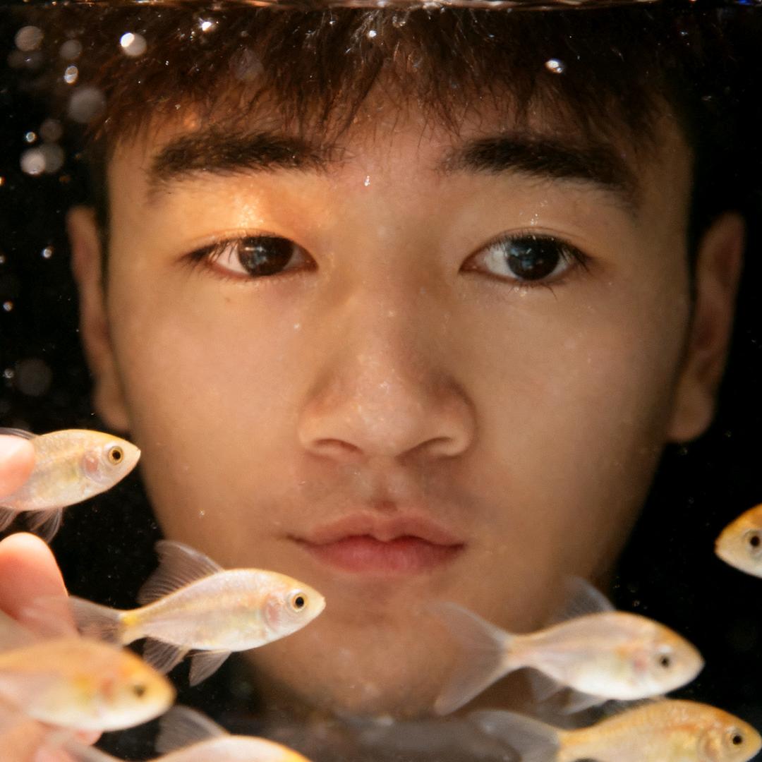 佳航传媒🦁大鹏