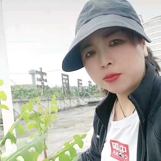 曳舞岁月6741