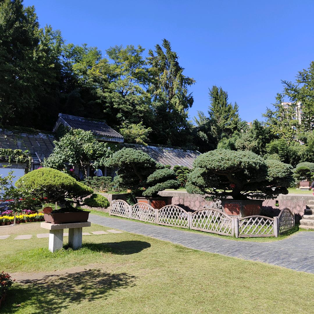 蓝色妖姬🐬⁰¹⁰⁵