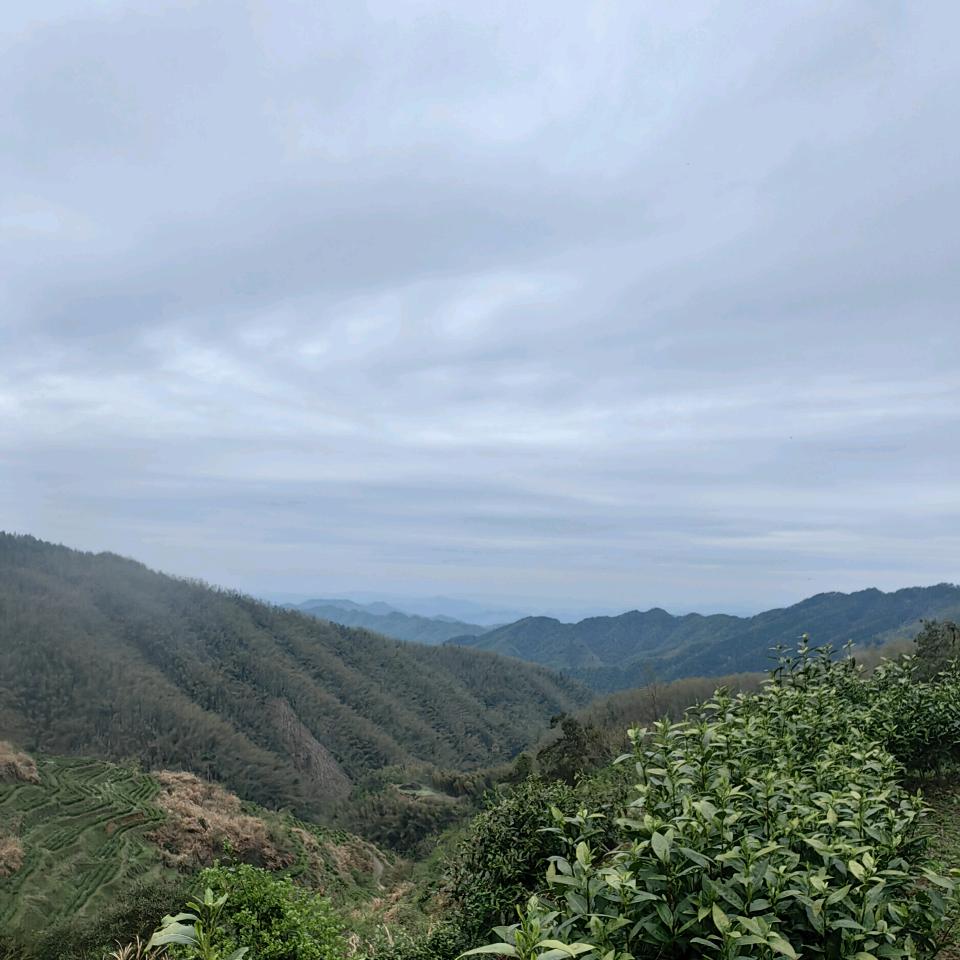 梅比斯。