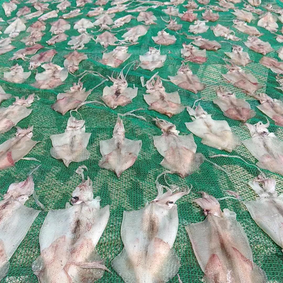 野生海味干货