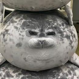 一只爱你的豹子