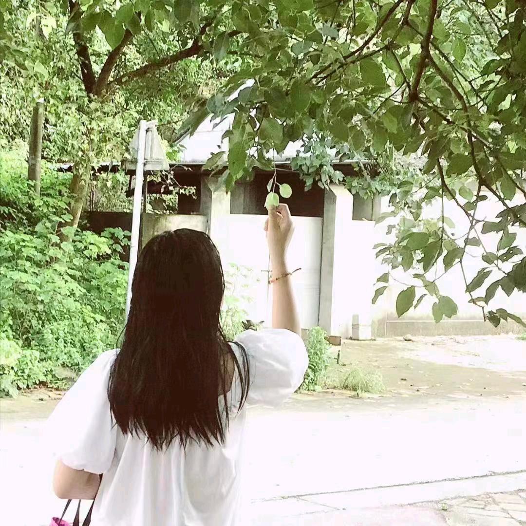 李六姐
