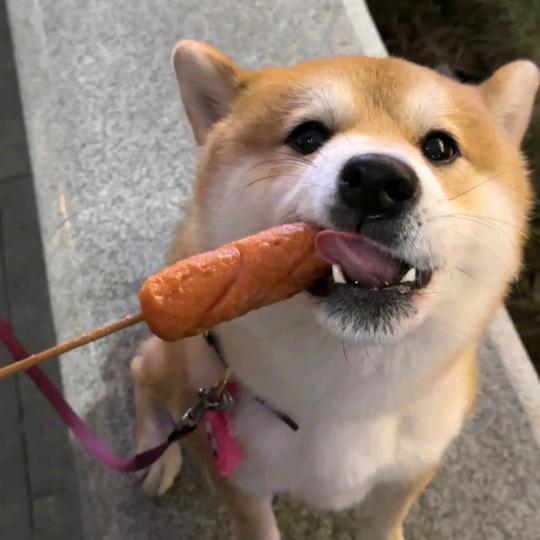 《雄鹰一样的男人》