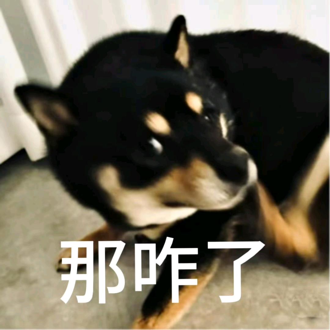 蜚蜚