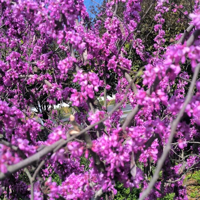 手机用户51861835364