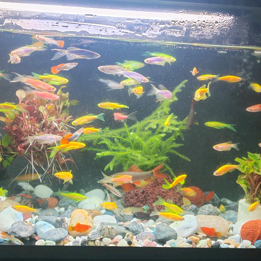 我真的一无所有