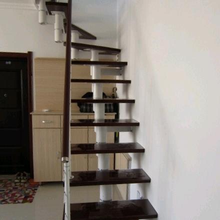 我爱我家_168042647