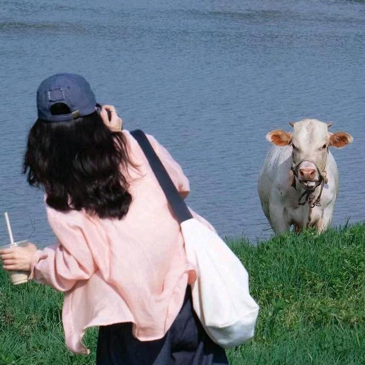 随州泡泡青