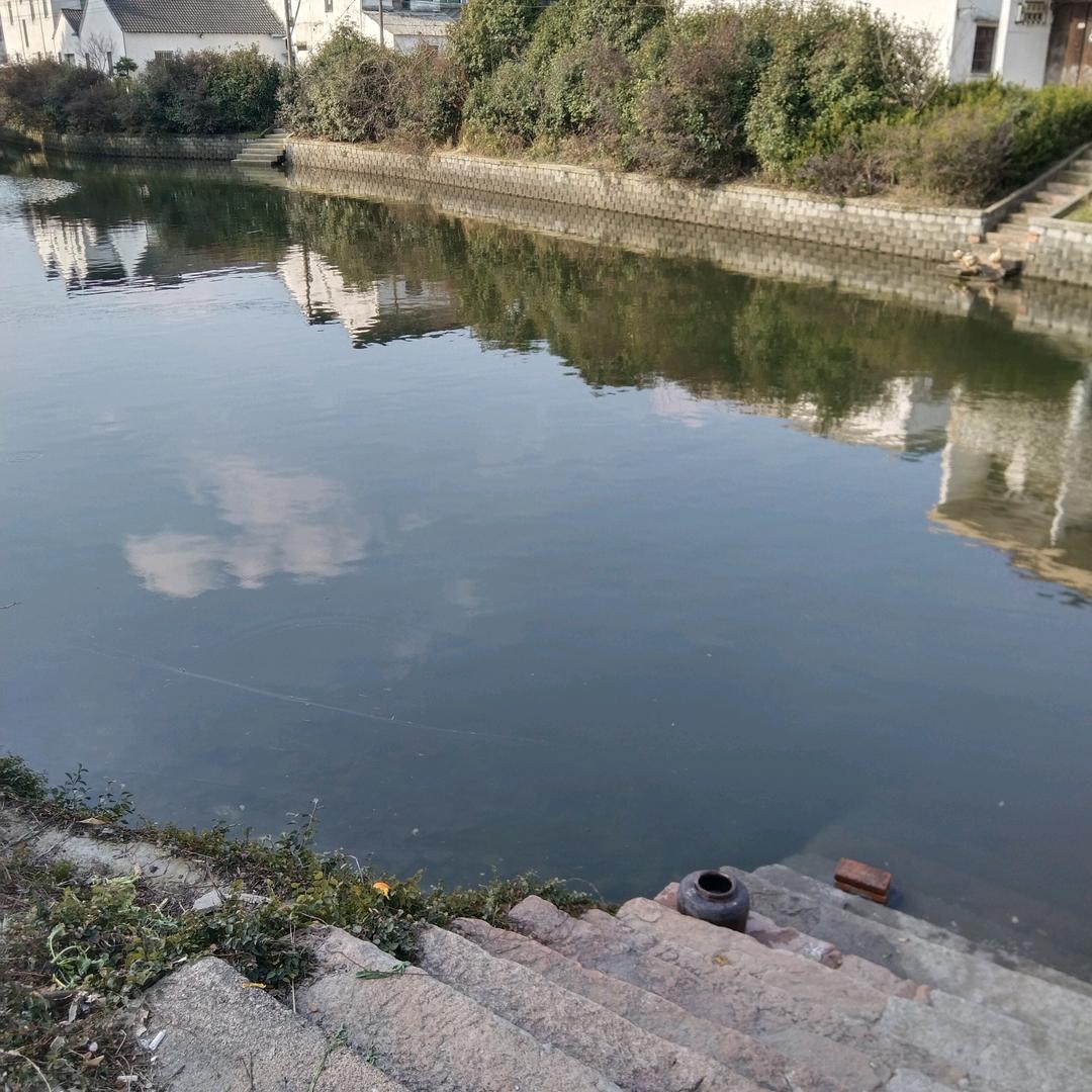 蝶🦋舞芳香（TJf）