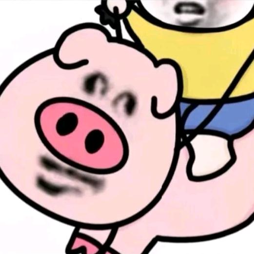 沐辰.