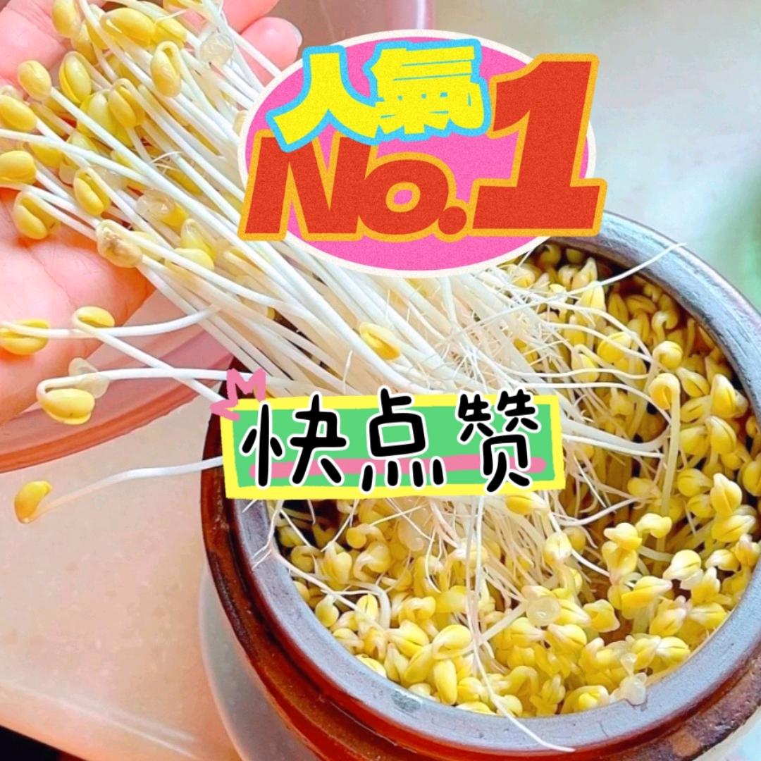 双木林i