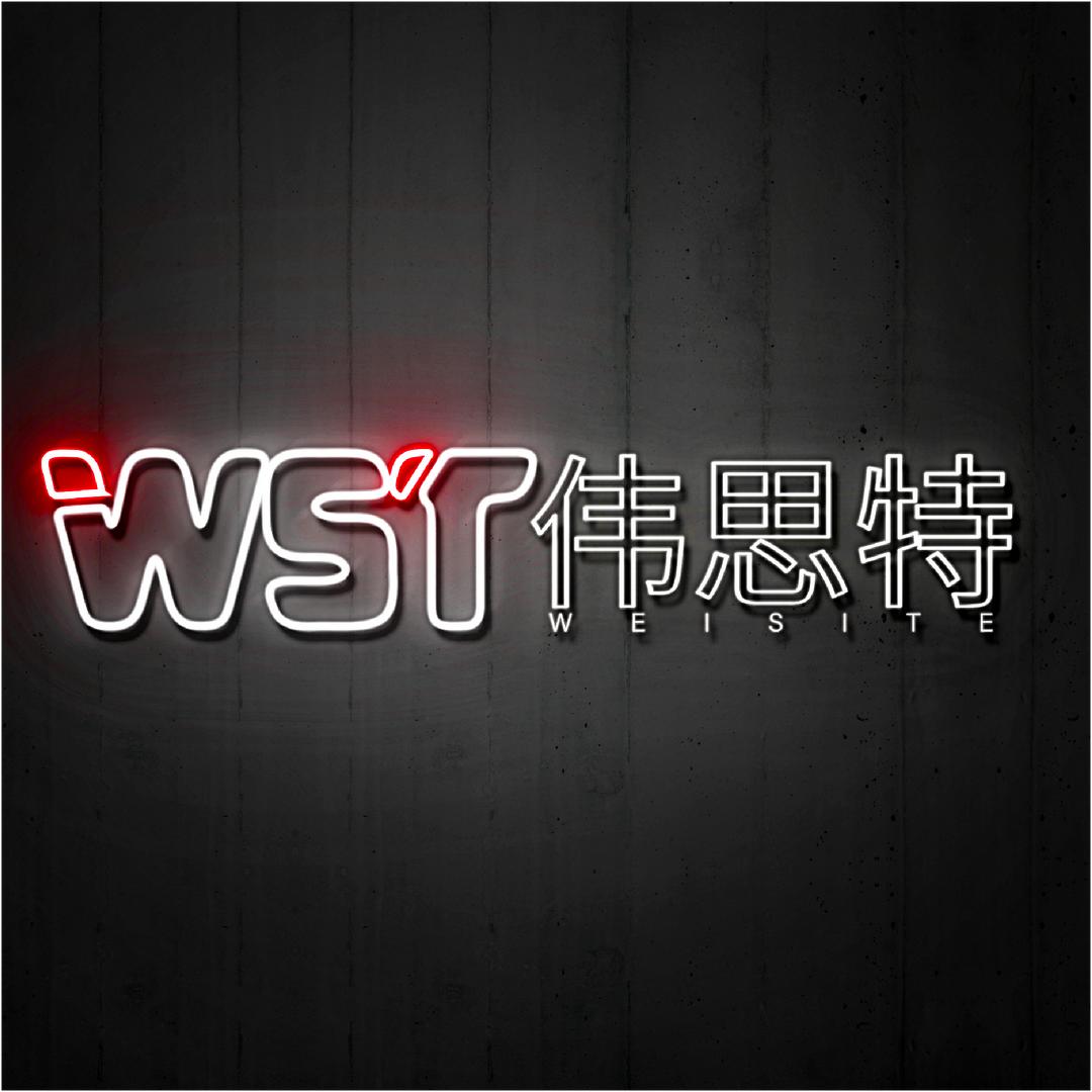 伟思特照明