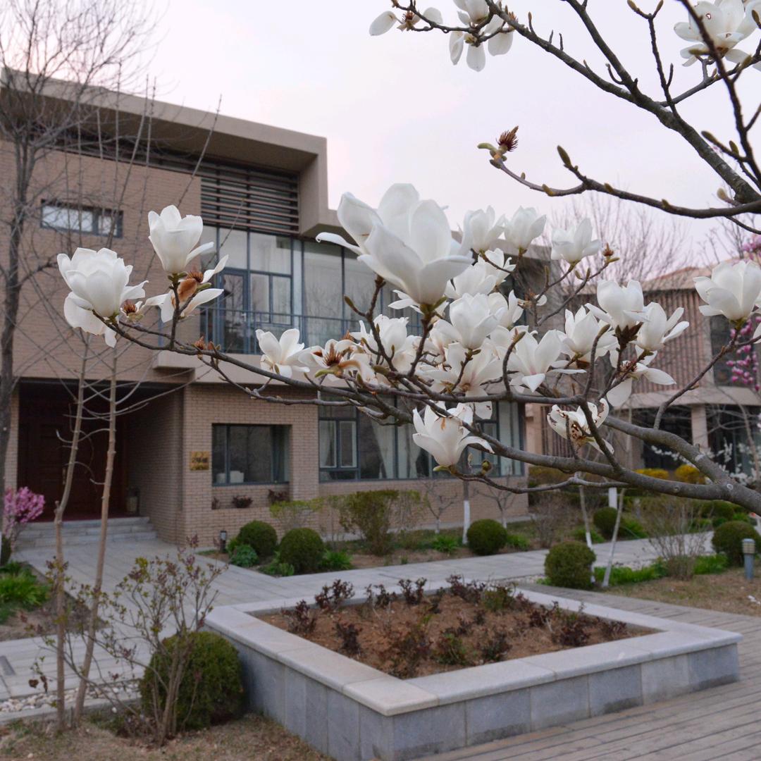 金石滩旅游度假酒店