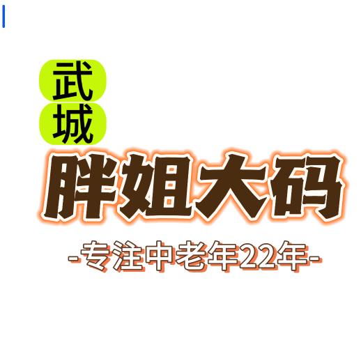 武城胖姐时尚大码女装