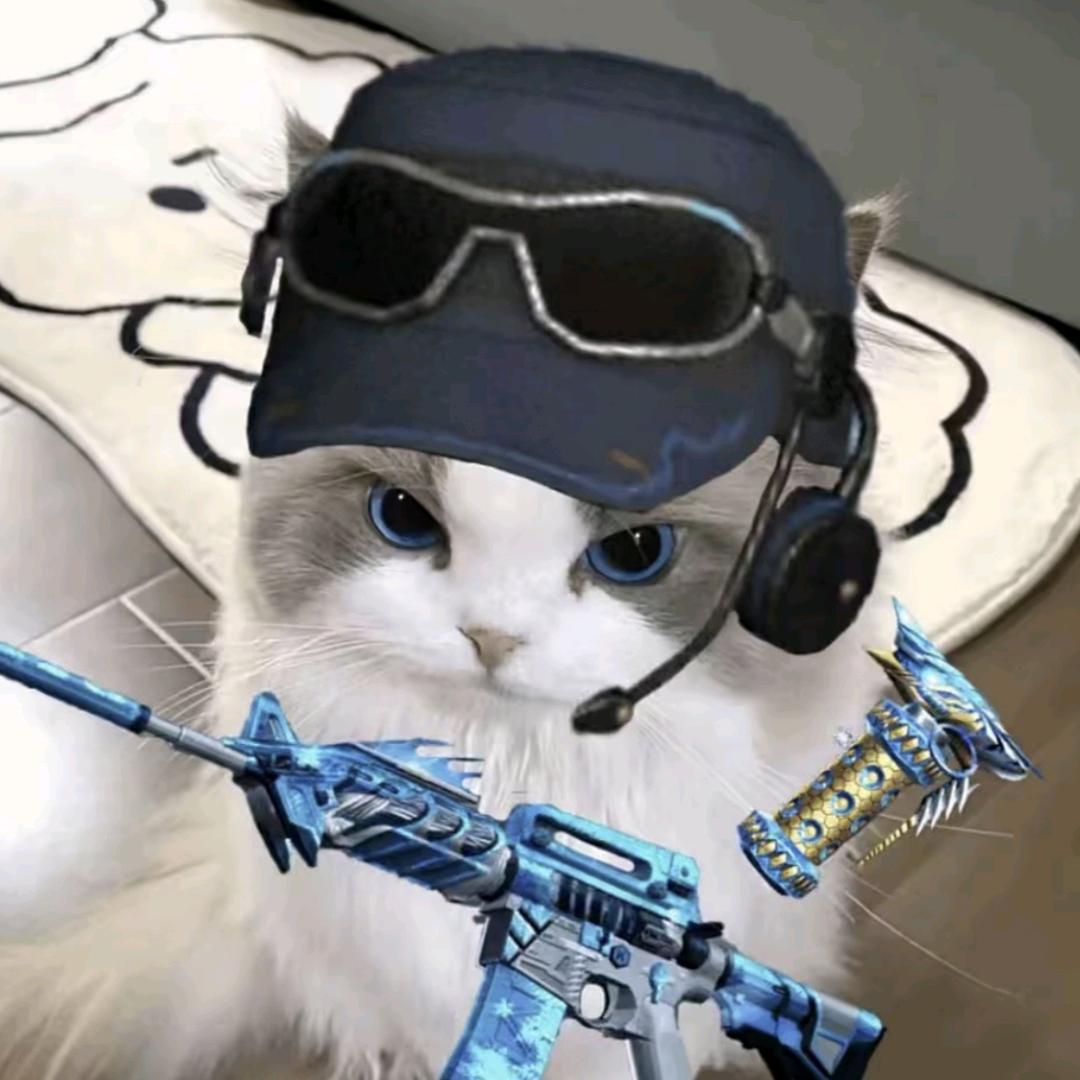 鸡蛋里并没有放葱