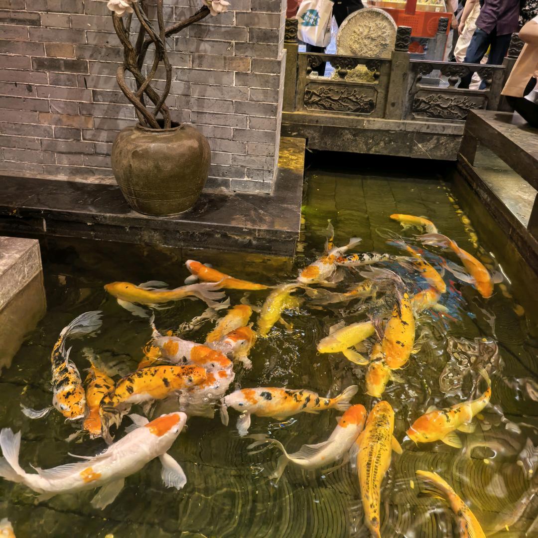 鼎鼎