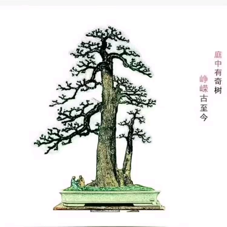 京山鸿源盆景