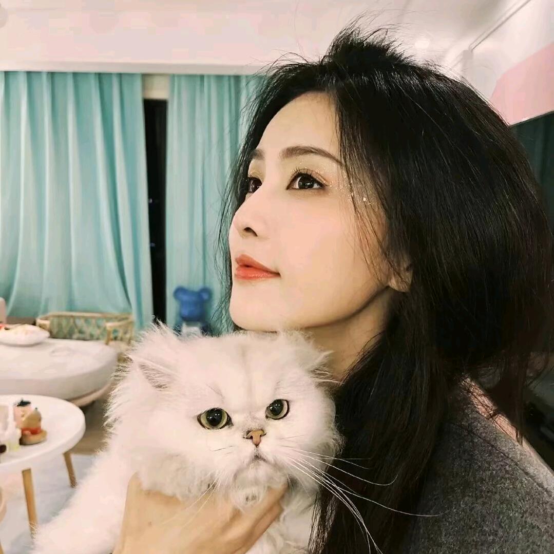 《独来独往》