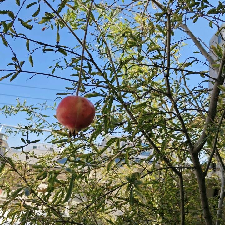 潮人秀