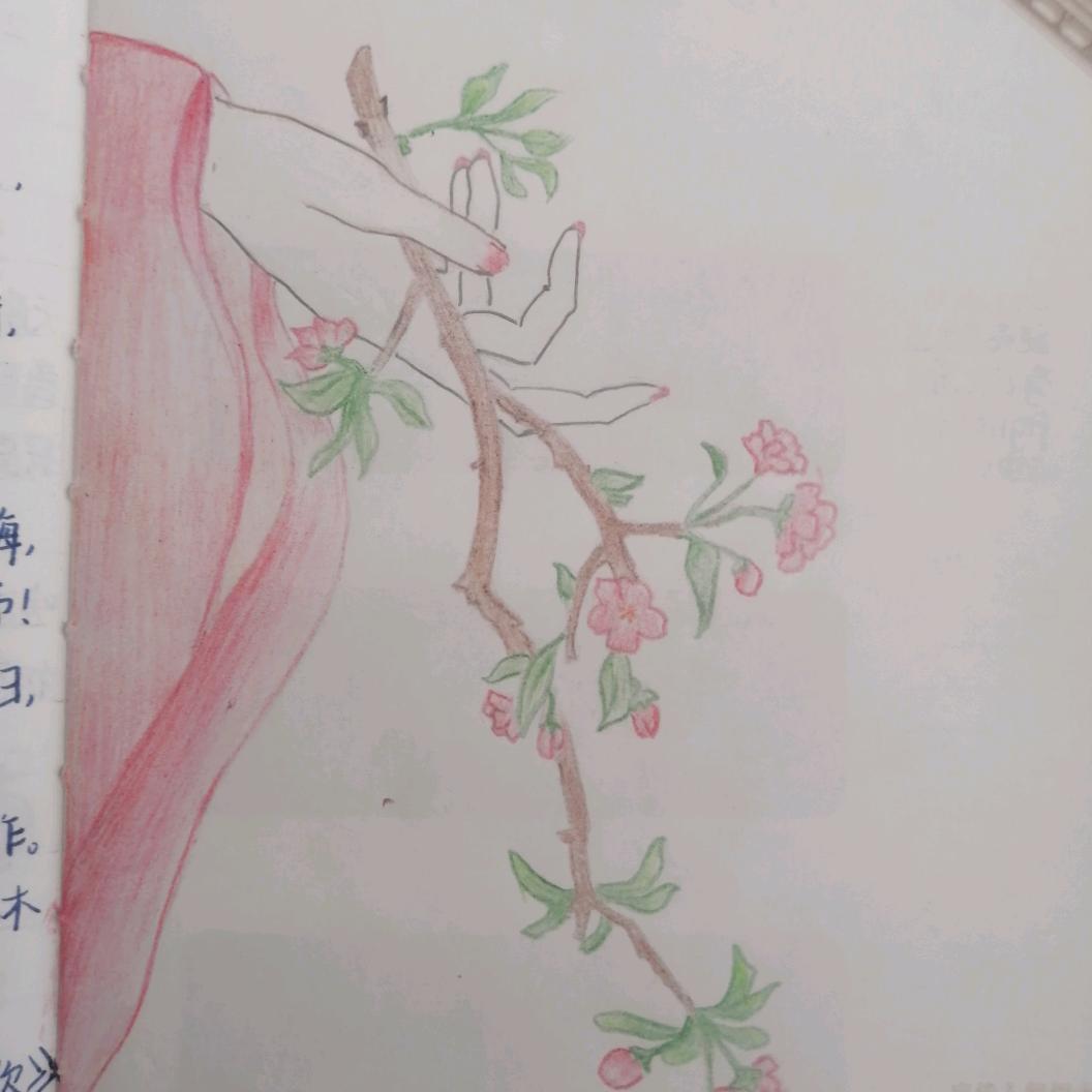 ꧁ᝰꫛꫀꪝ𐂂独草孤花꧂