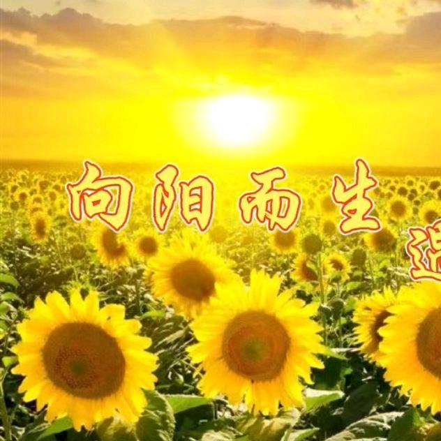 雅如兰