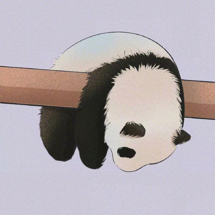 沐兮兮呀