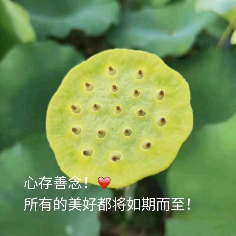 方音
