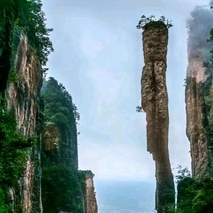 零距离老中医《故事汇》