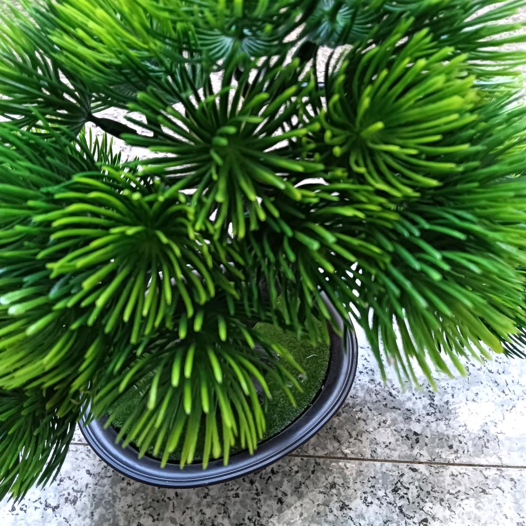 木易奇