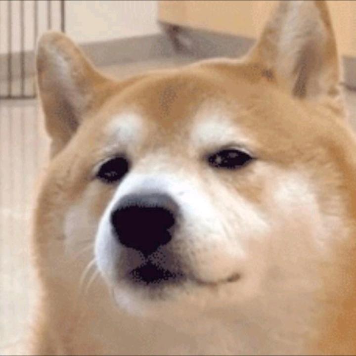 白努力要加油