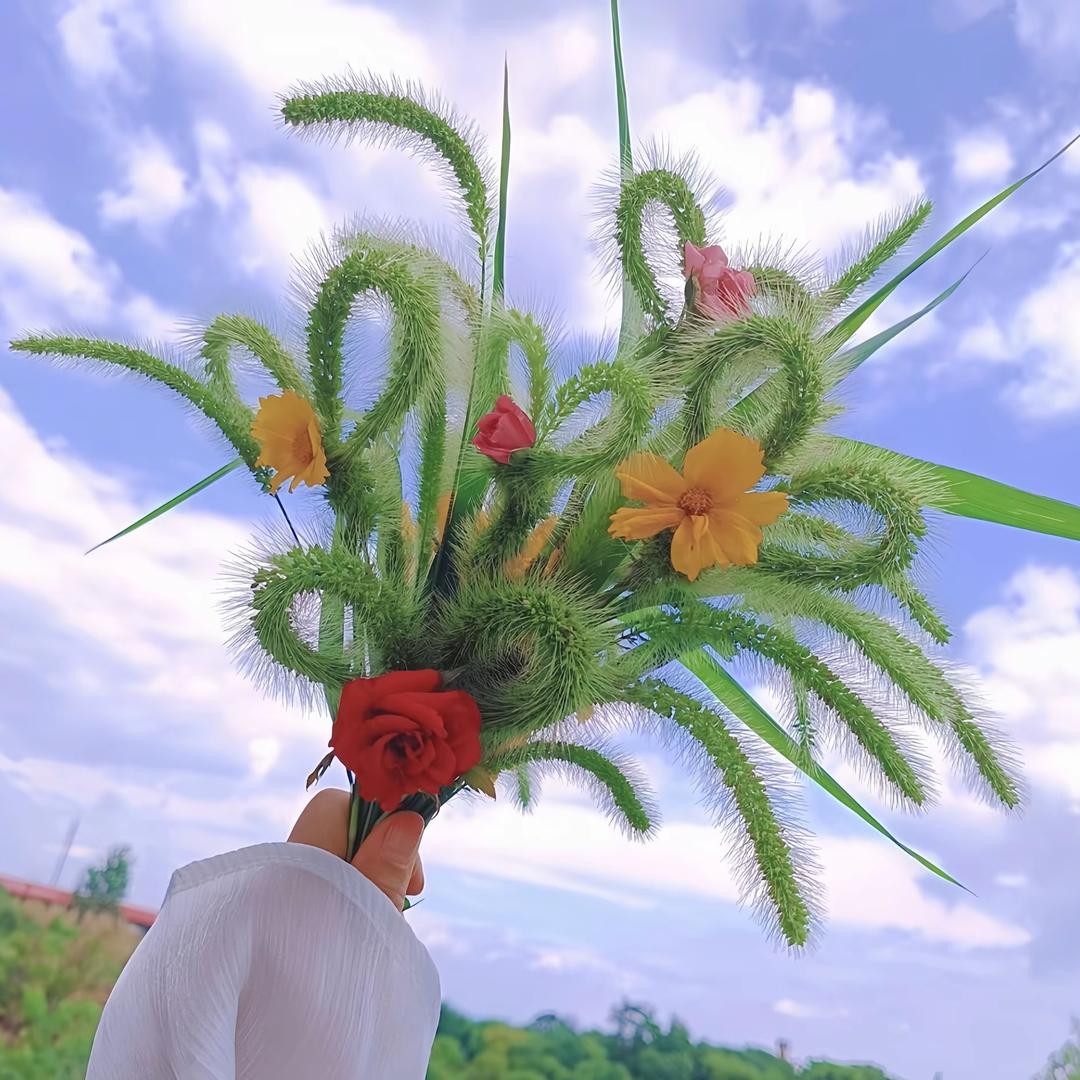 七秒钟的³记忆℃