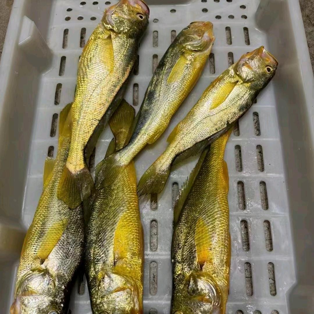 精品海鲜-三门青蟹