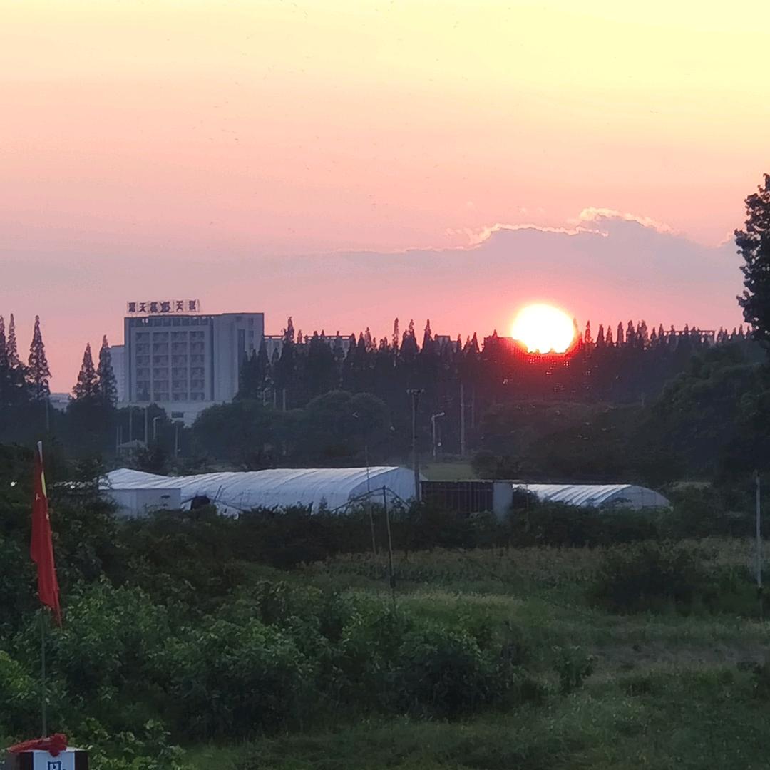 ꧔ꦿ᭄💞ღ¹⁹₉₀詹᭄࿐丫头