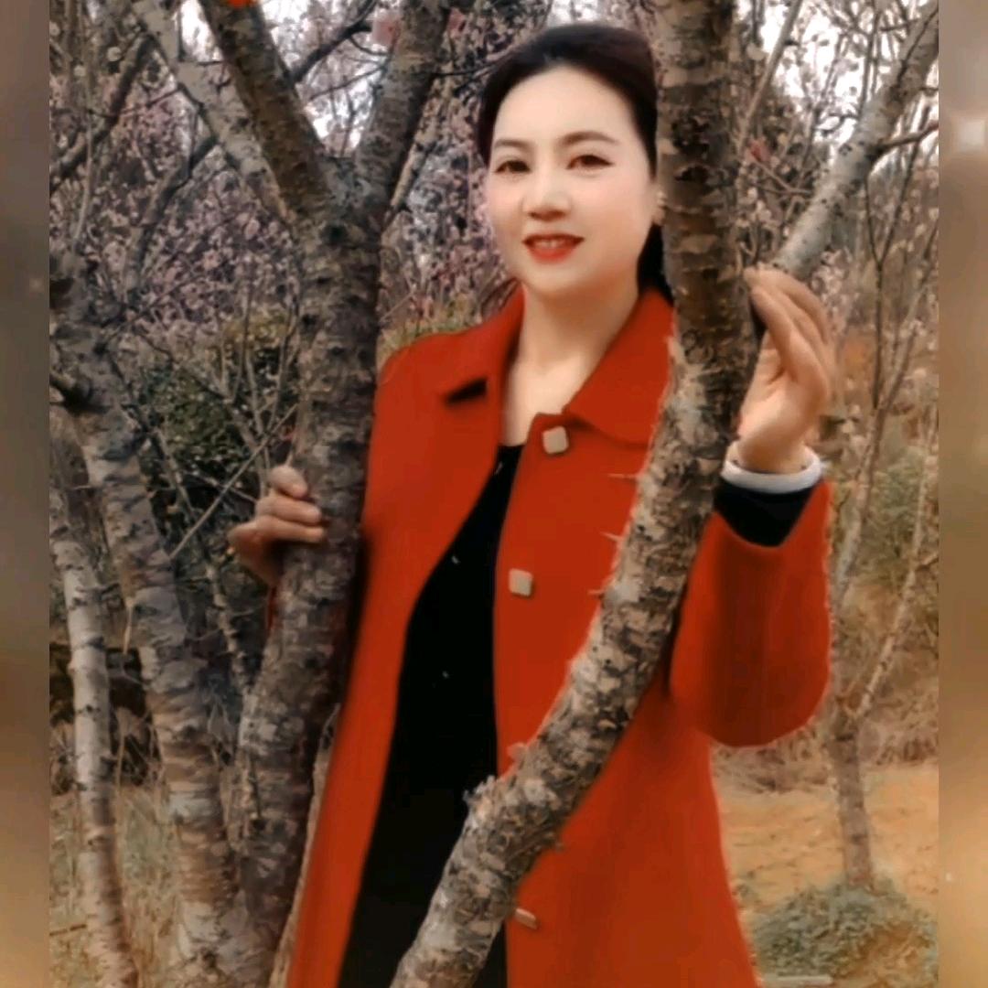 陈晓英